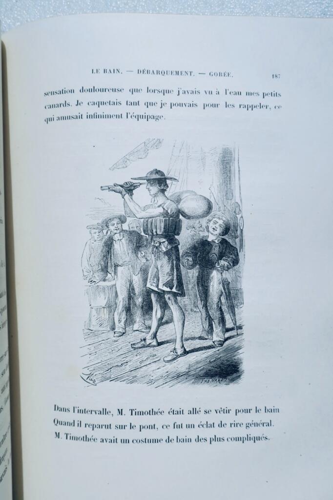 poule Mémoires d’une poule noire illus-Vogel, Zier…