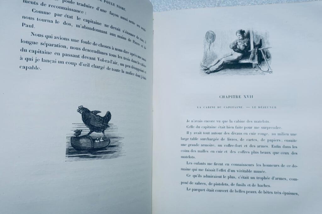 poule Mémoires d’une poule noire illus-Vogel, Zier…
