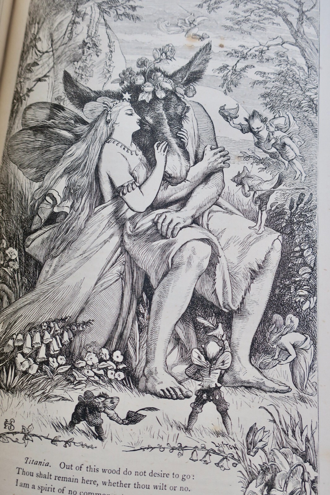 Shakespeare – Die Schauspiele Shakespeares illustriert von Selous