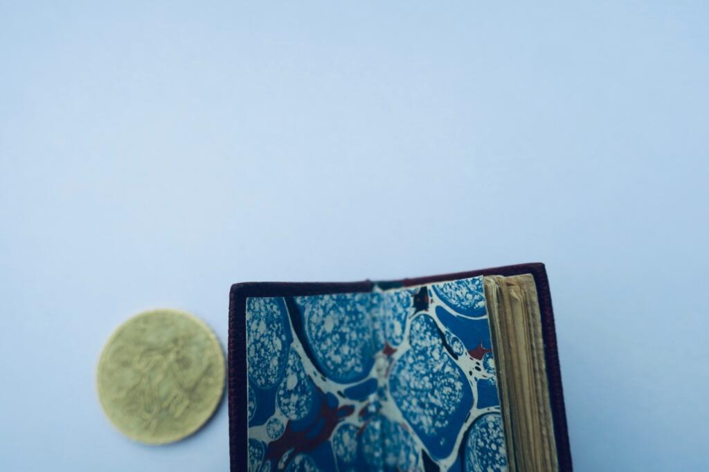Steinlen Voltaire Jeannot & Colin 1895. 微型 33 x 39 mm. mini