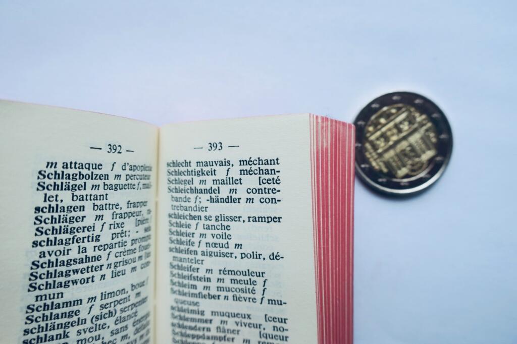 allemand-français & français-allemand dictionnaires Poucet 43 x 60 mm.