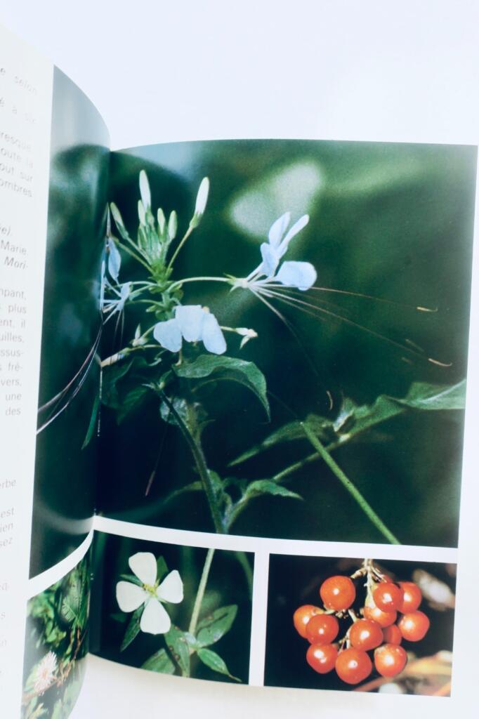 antilles FOURNET FLEURS ET PLANTES DES ANTILLES. LES EDITIONS DU PACIFIQUE