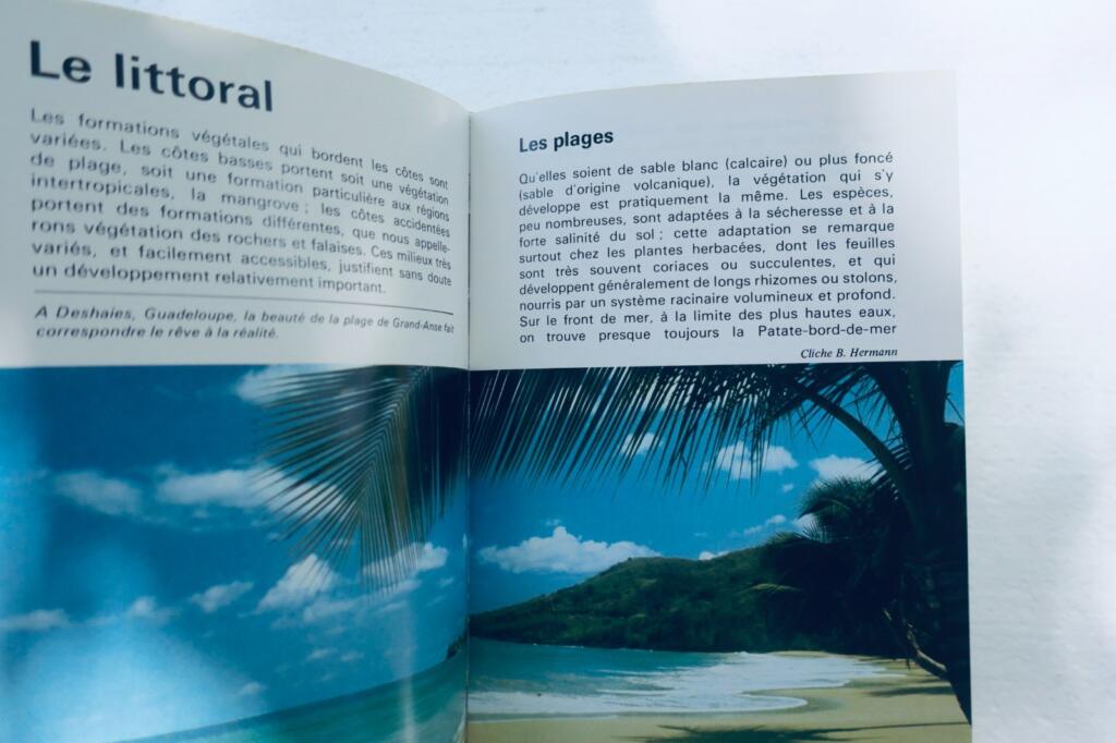 antilles FOURNET FLEURS ET PLANTES DES ANTILLES. LES EDITIONS DU PACIFIQUE