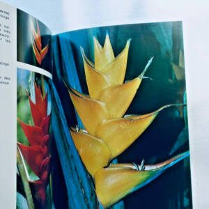 antilles FOURNET FLEURS ET PLANTES DES ANTILLES. LES EDITIONS DU PACIFIQUE