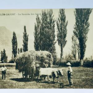 ARGELES-GAZOST - la rentrée des foins attelage