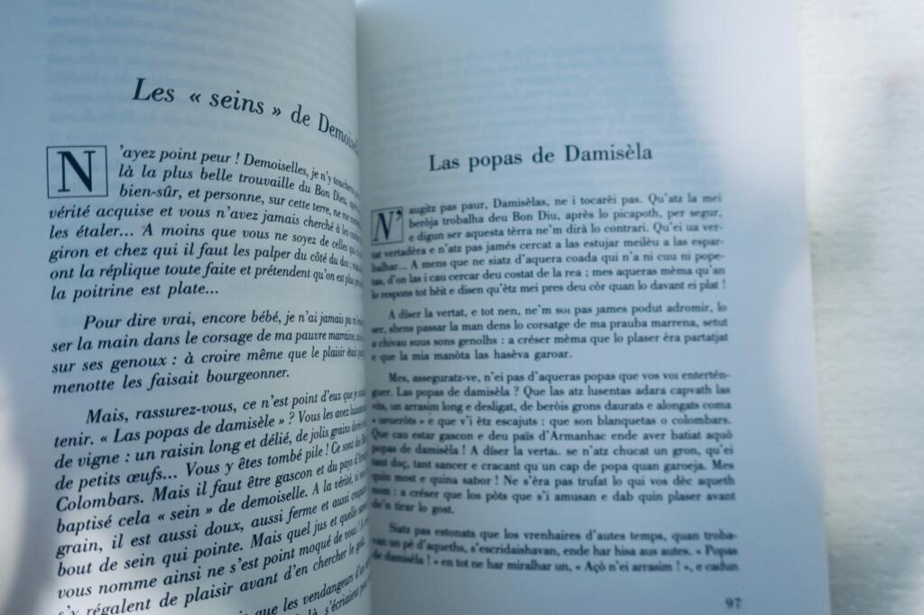 armagnac noir lo ramanet de la vit Armanhac negre