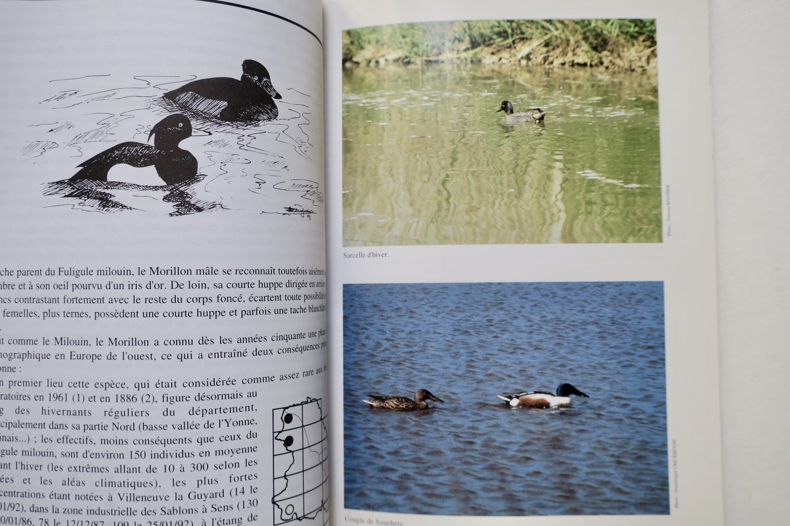 Atlas des oiseaux nicheurs de l'Yonne (1979-1992). – Image 3