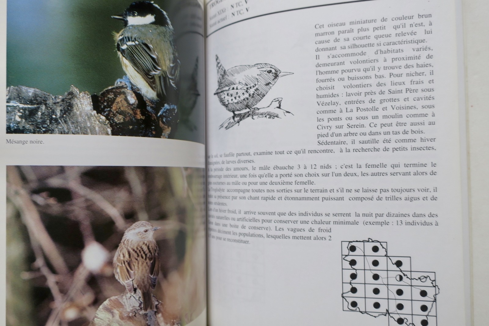 Atlas des oiseaux nicheurs de l'Yonne (1979-1992). – Image 6