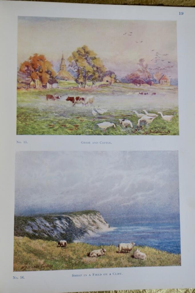 Beasts and Birds: Ein Naturbuch für Jungen und Mädchen 1910