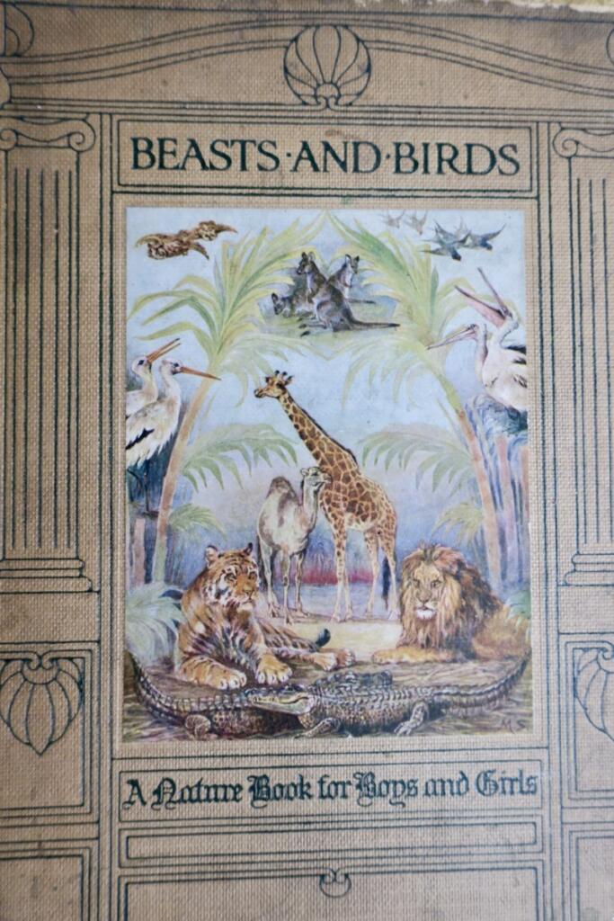 Beasts and Birds: Ein Naturbuch für Jungen und Mädchen 1910