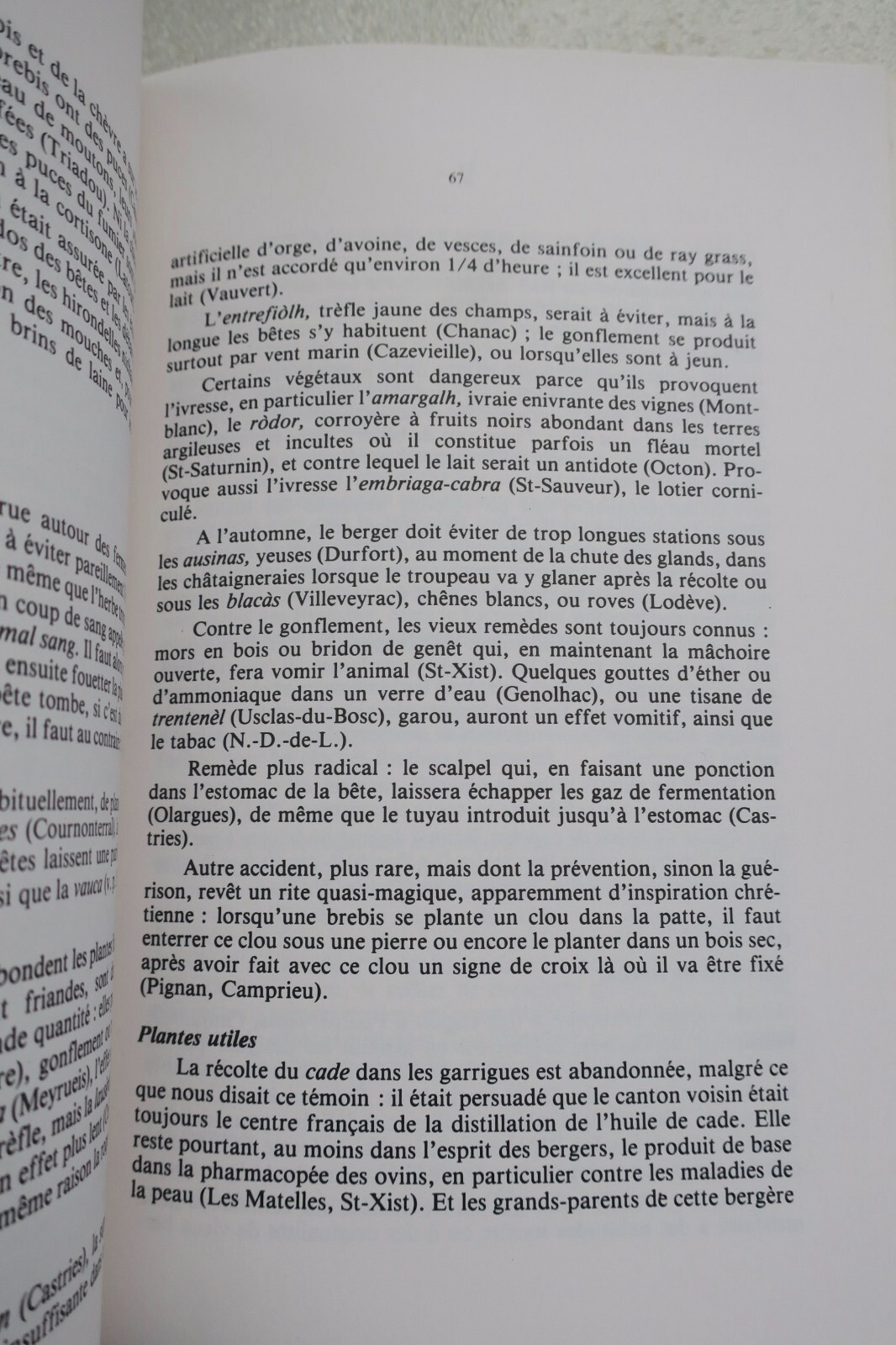 Shepherds and Flocks in Languedoc and Catalonia