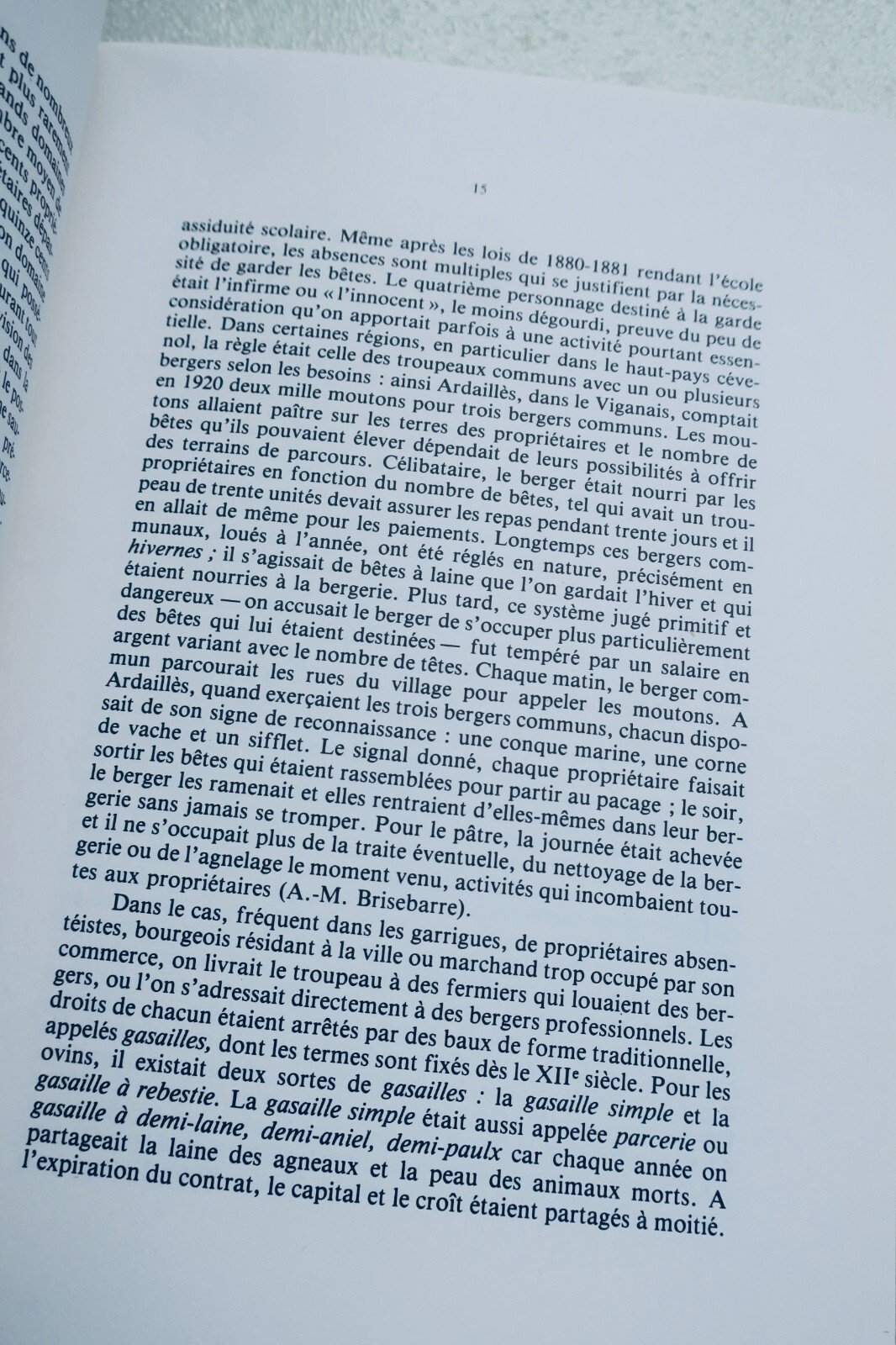 Shepherds and Flocks in Languedoc and Catalonia