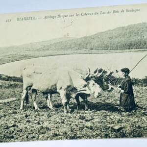 比亚里茨巴斯克马车 1907年