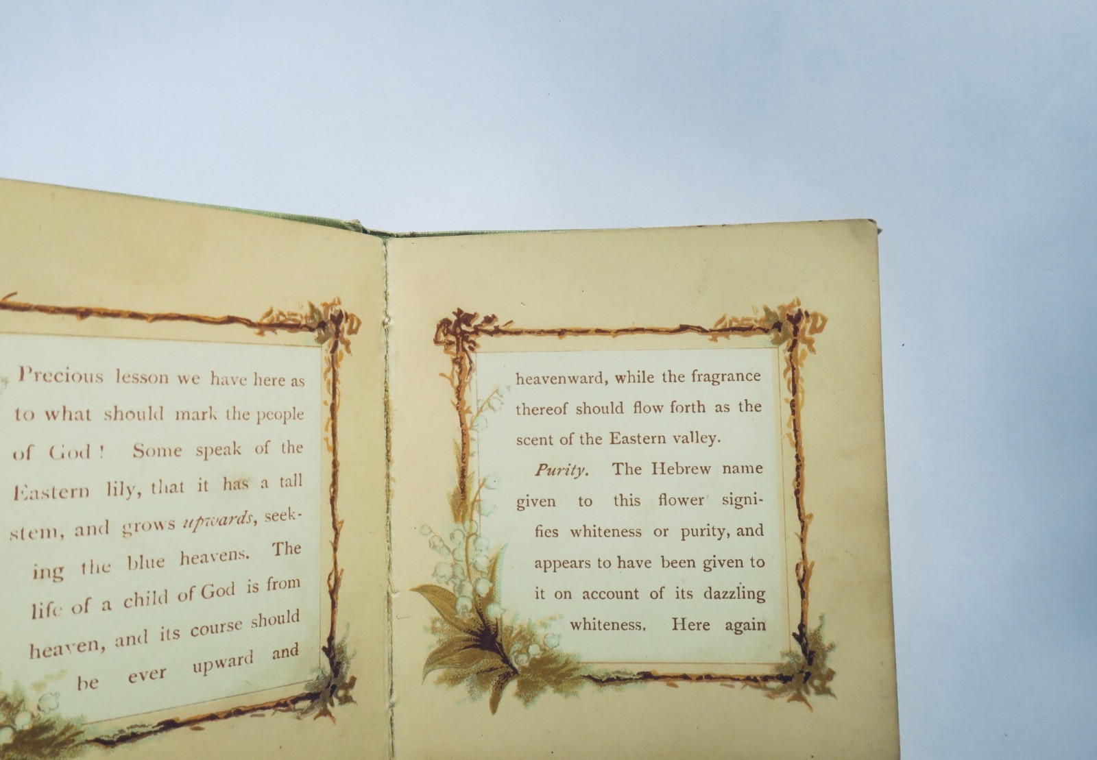 Bible Lilies Scripture Selections for Morning & Evening MINUSCULE – Image 6