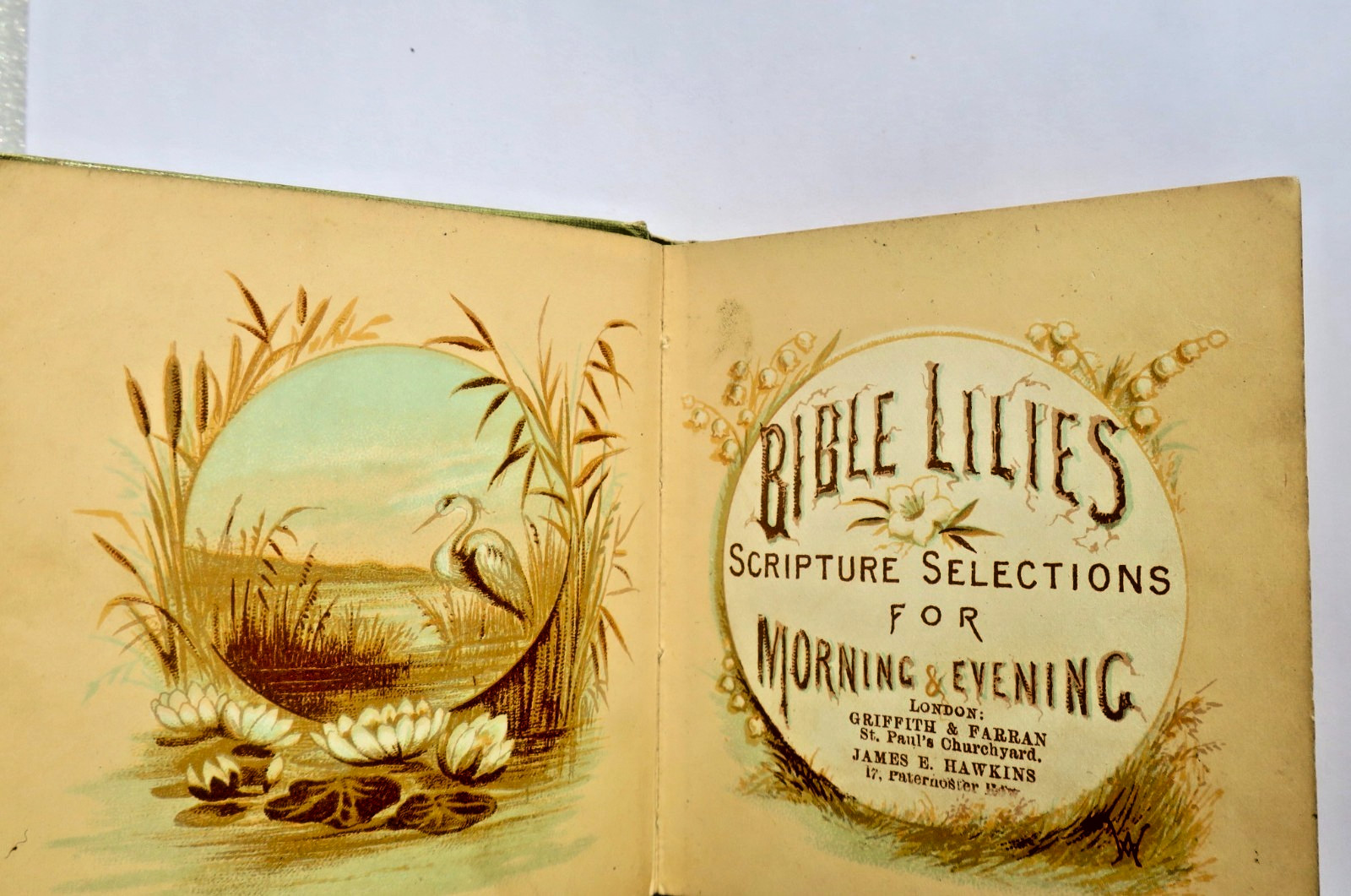 Bible Lilies Scripture Selections for Morning & Evening MINUSCULE - La Librairie Antique