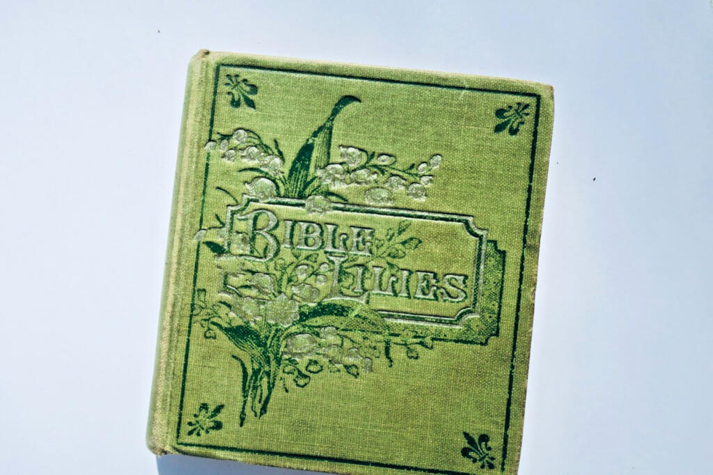 Bible Lilies Scripture Selections for Morning & Evening MINUSCULE