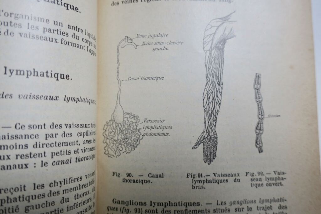 Caustier HISTOIRE NATURELLE 1906