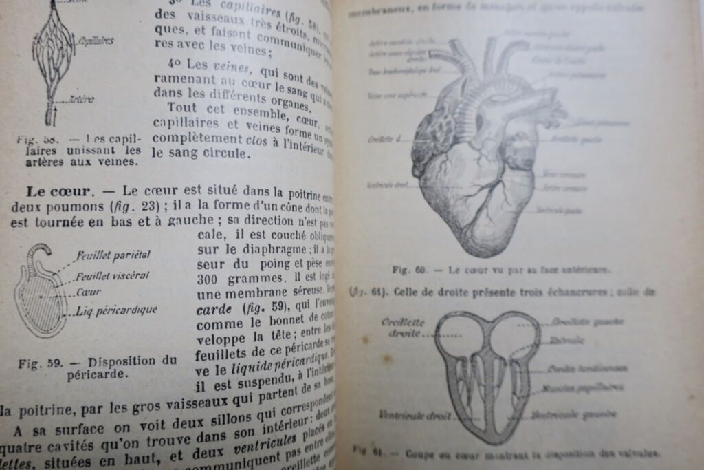 Caustier HISTOIRE NATURELLE 1906