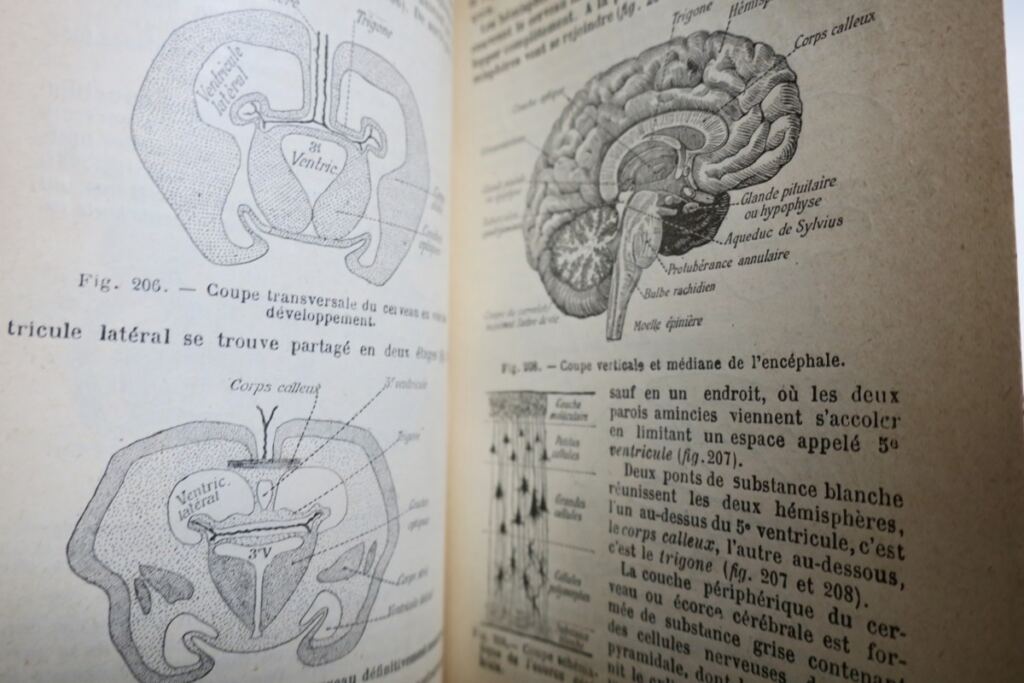 Caustier HISTOIRE NATURELLE 1906
