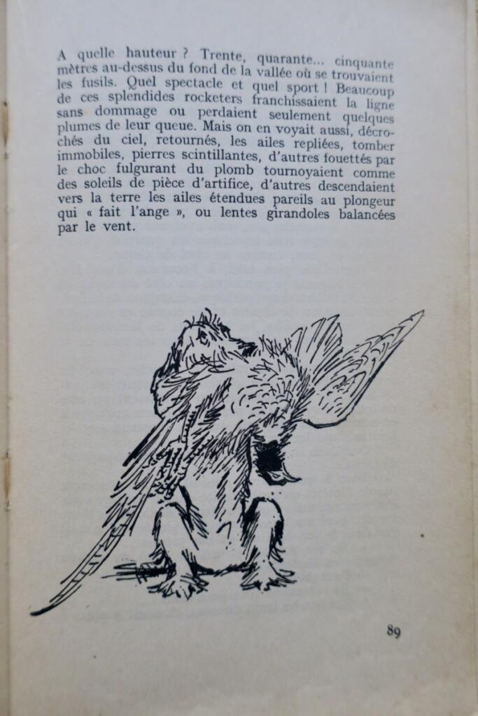 CHASSE Préjelan SOUVENIRS D’UN FUSIL DE CHASSE