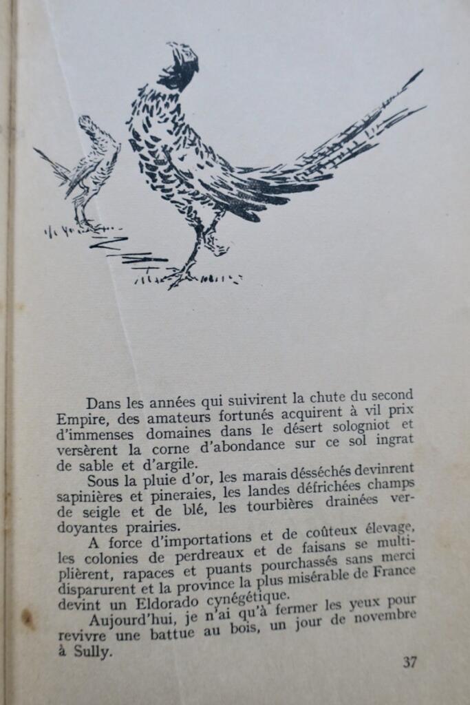 CHASSE Préjelan SOUVENIRS D’UN FUSIL DE CHASSE