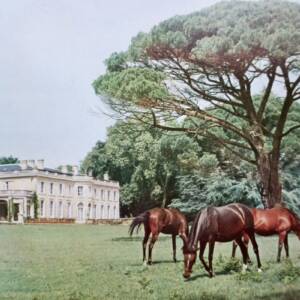CHATEAUX EN GIRONDE 1956