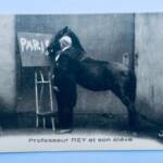 cheval AUCH – GERS LE PROFESSEUR REY ET SON ELEVE - La Librairie Antique