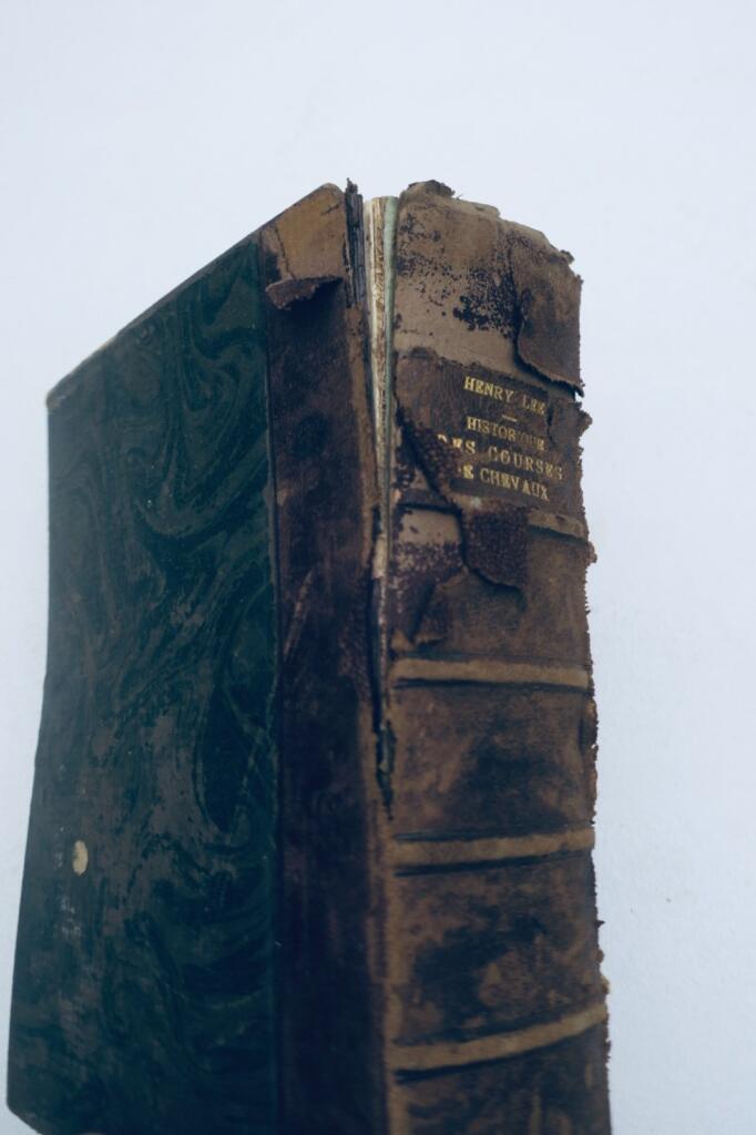 骑乘历史:从古代至今的赛马史 1914
