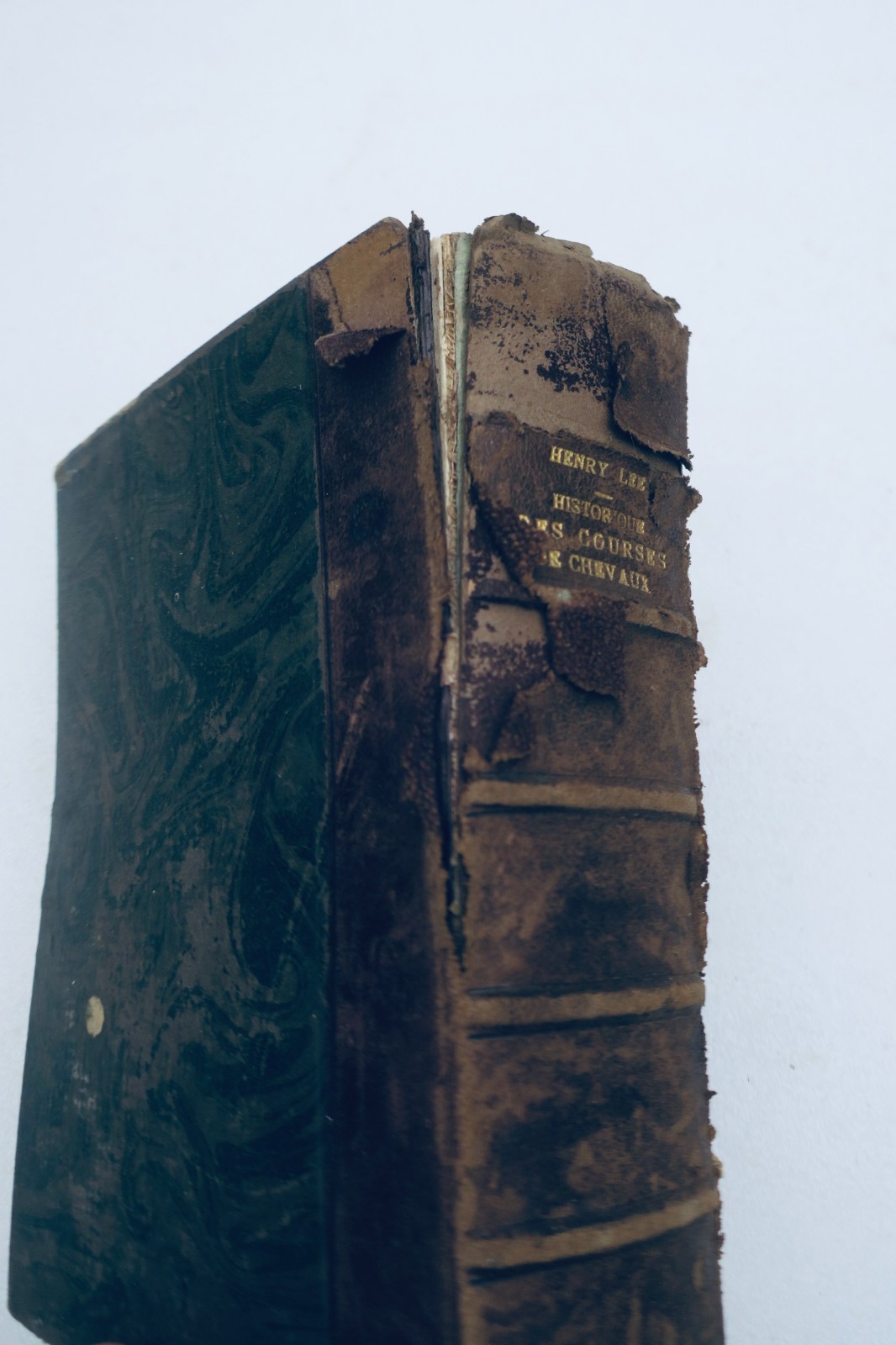 历史马赛记：从古代至今的赛马史（1914年）