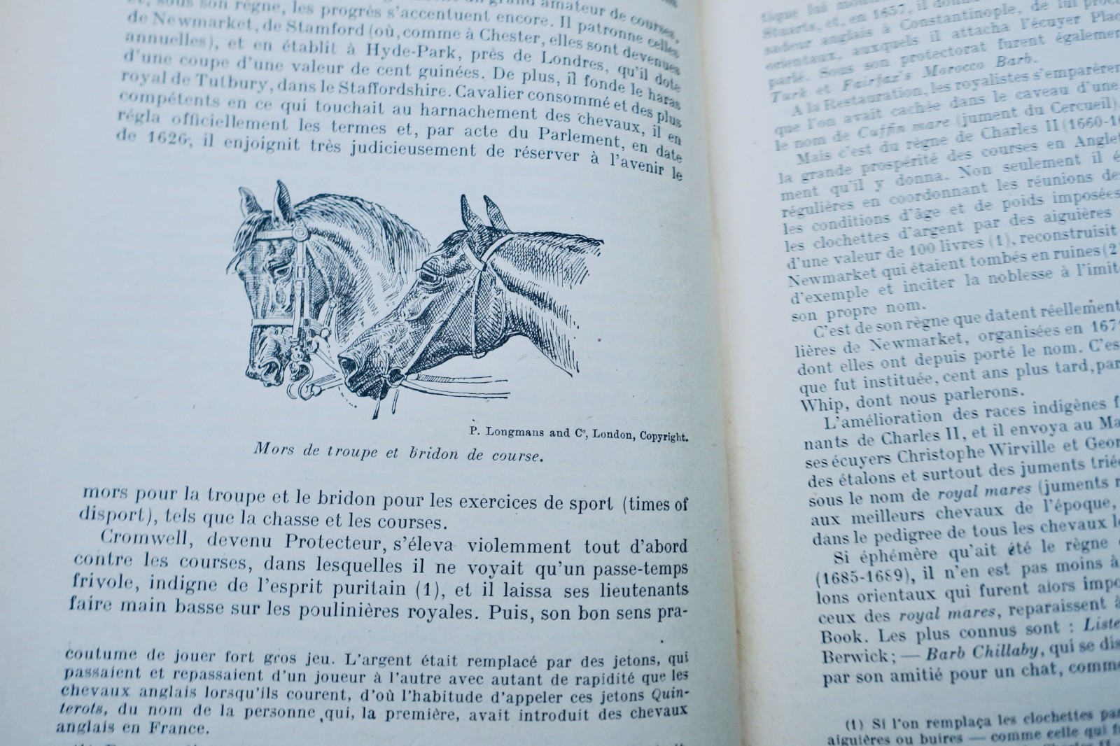 Historische Darstellung der Pferderennen von der Antike bis heute 1914