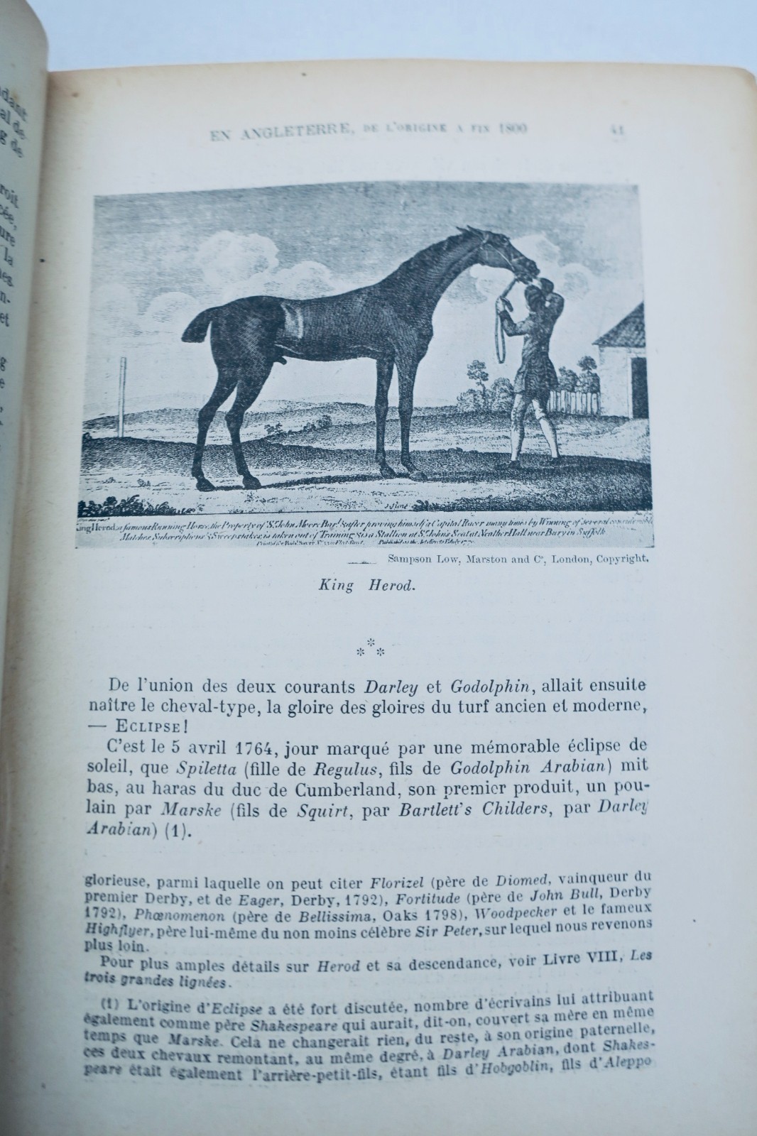 Historische Darstellung der Pferderennen von der Antike bis heute 1914