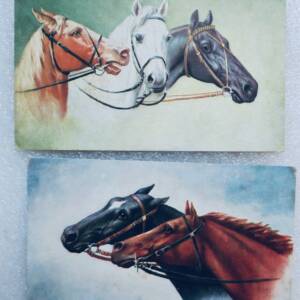chevaux X 2 cartes postales