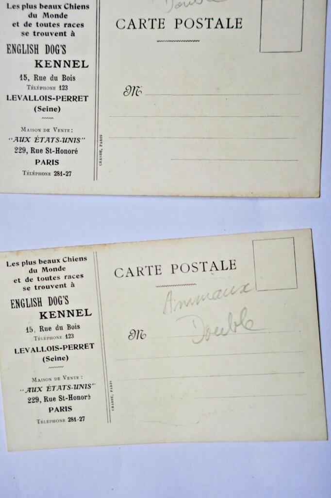 Hunde ven.. mit allen Garantien 2 Antike Postkarten Die schönsten