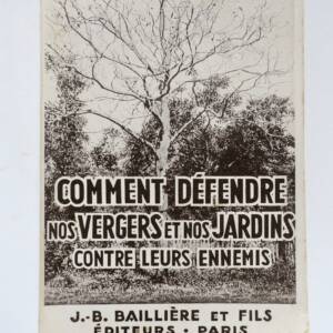 Comment défendre nos vergers et nos jardins contre leurs ennemis