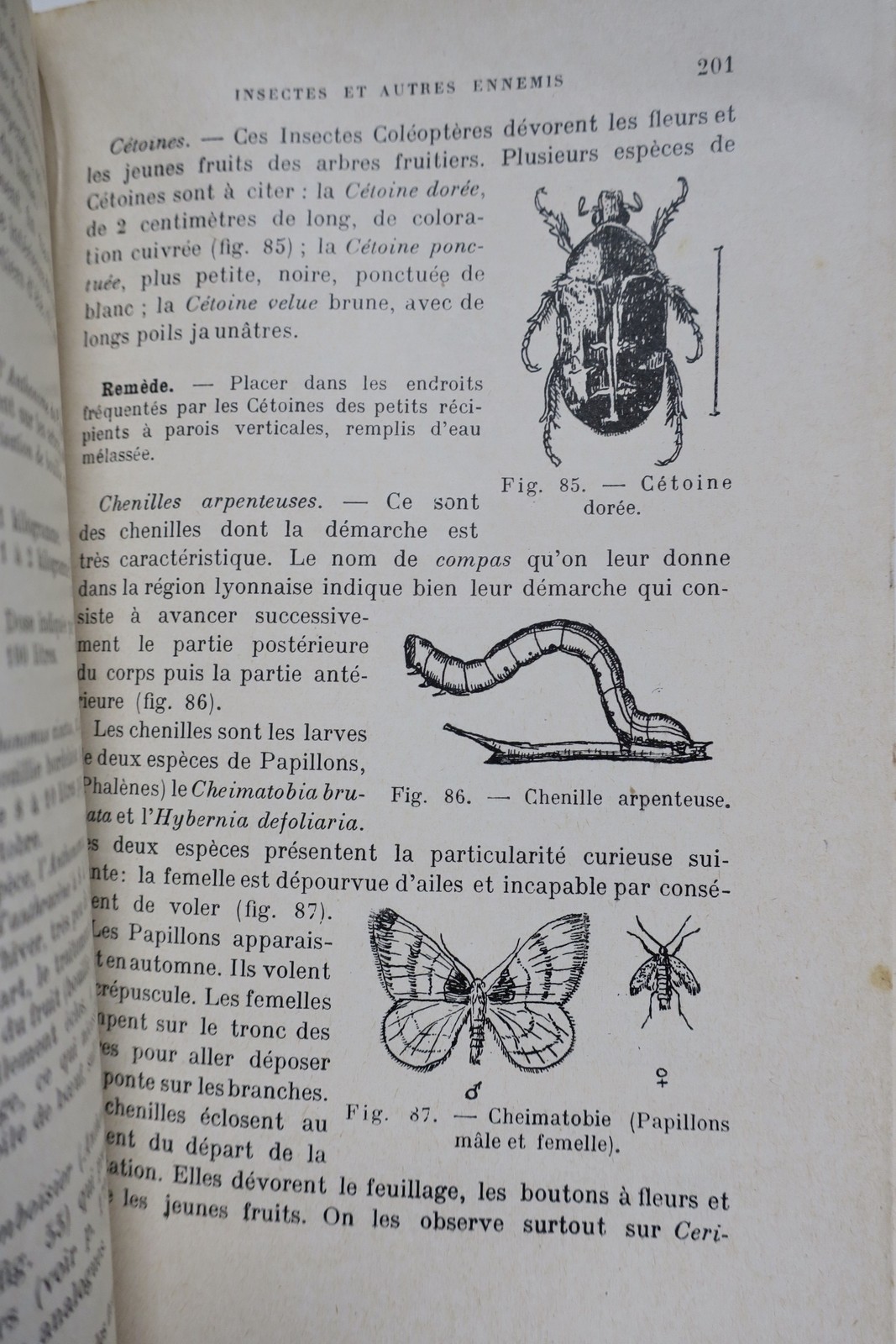 Comment défendre nos vergers et nos jardins contre leurs ennemis - La Librairie Antique