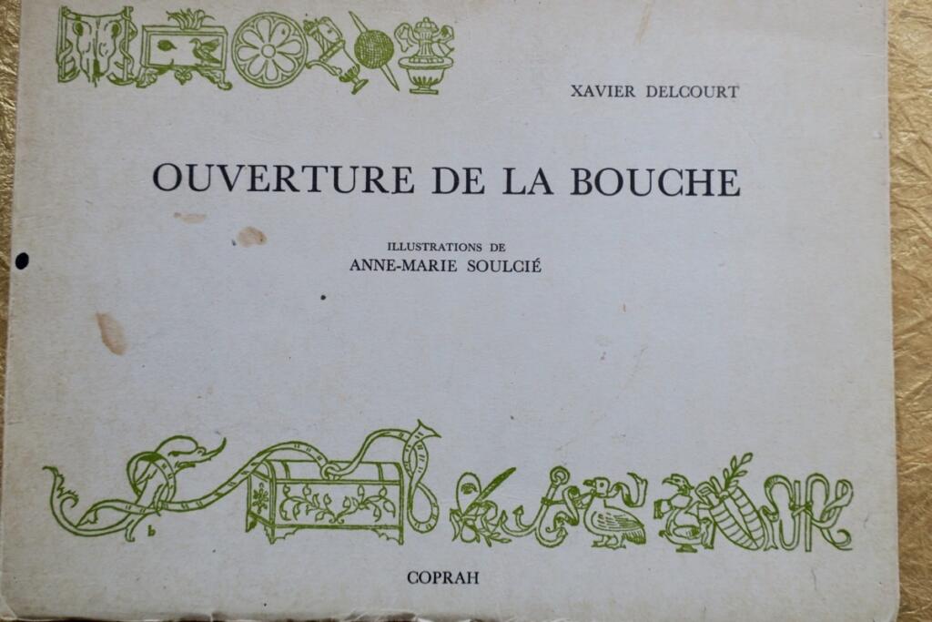 Xavier Delcourt Ouverture de la bouche