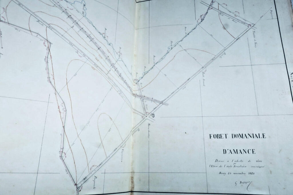Dessins d'arpenteur et cartographe, Cours forestier, Nancy, 19th century