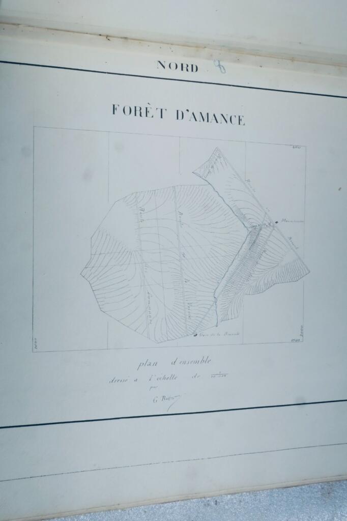 Dessins d'arpenteur et cartographe, Cours forestier, Nancy, 19th century