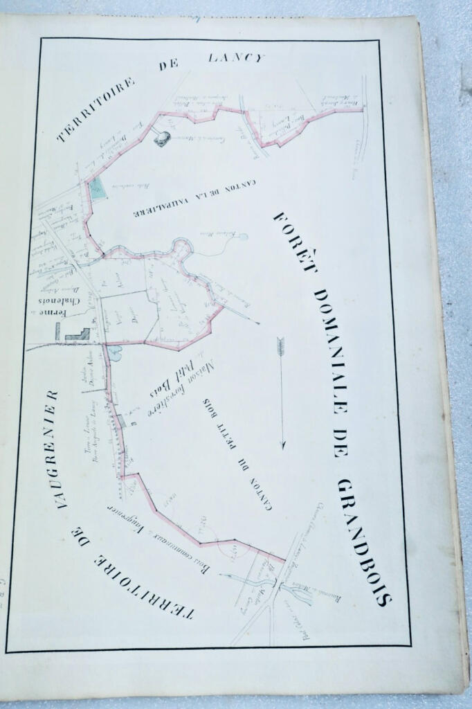 Dessins d'arpenteur et cartographe, Cours forestier, Nancy, 19th century
