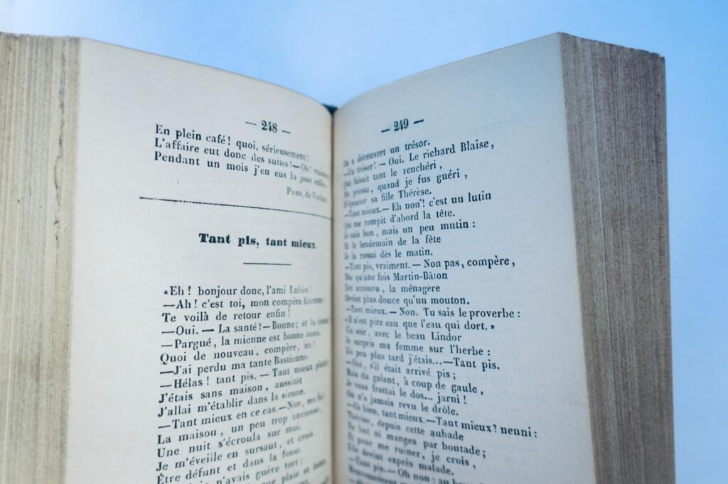 Poetische Possen - Fröhliche Erzählungen und Scherze 1850