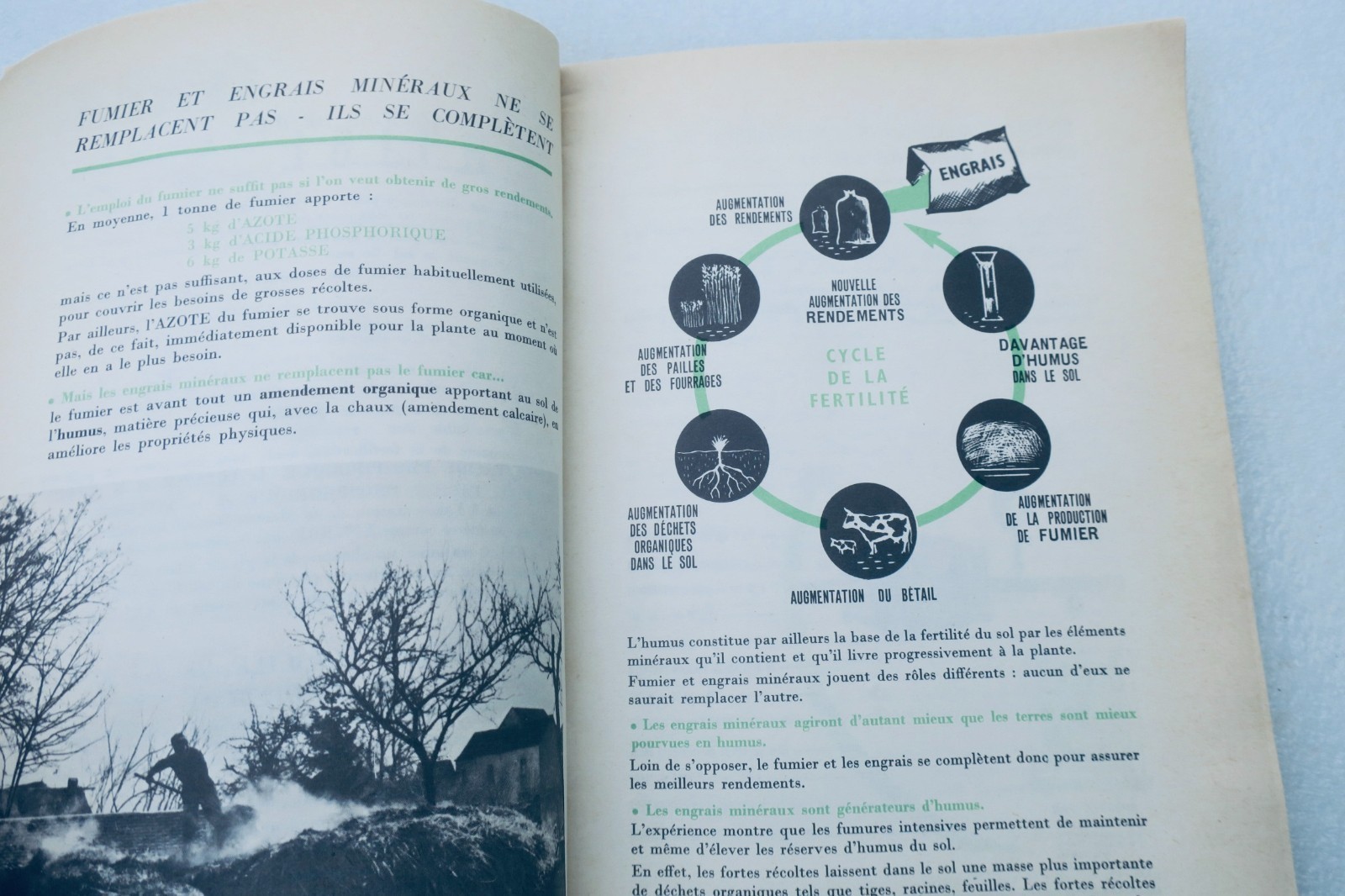 Mineral fertilizers on the farm 1956