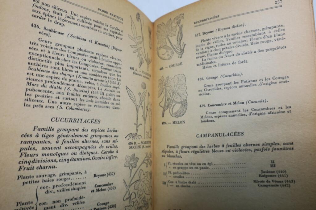Flore pratique 1950