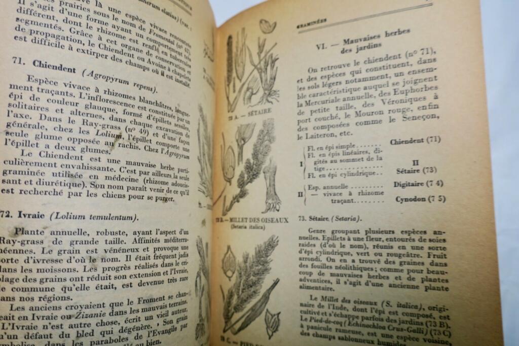 Flore pratique 1950