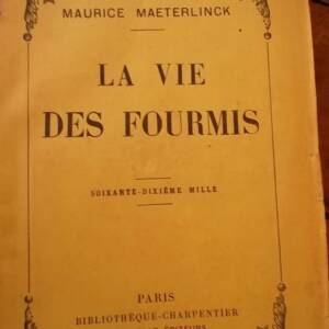 The Life of Ants by Maurice Maeterlinck