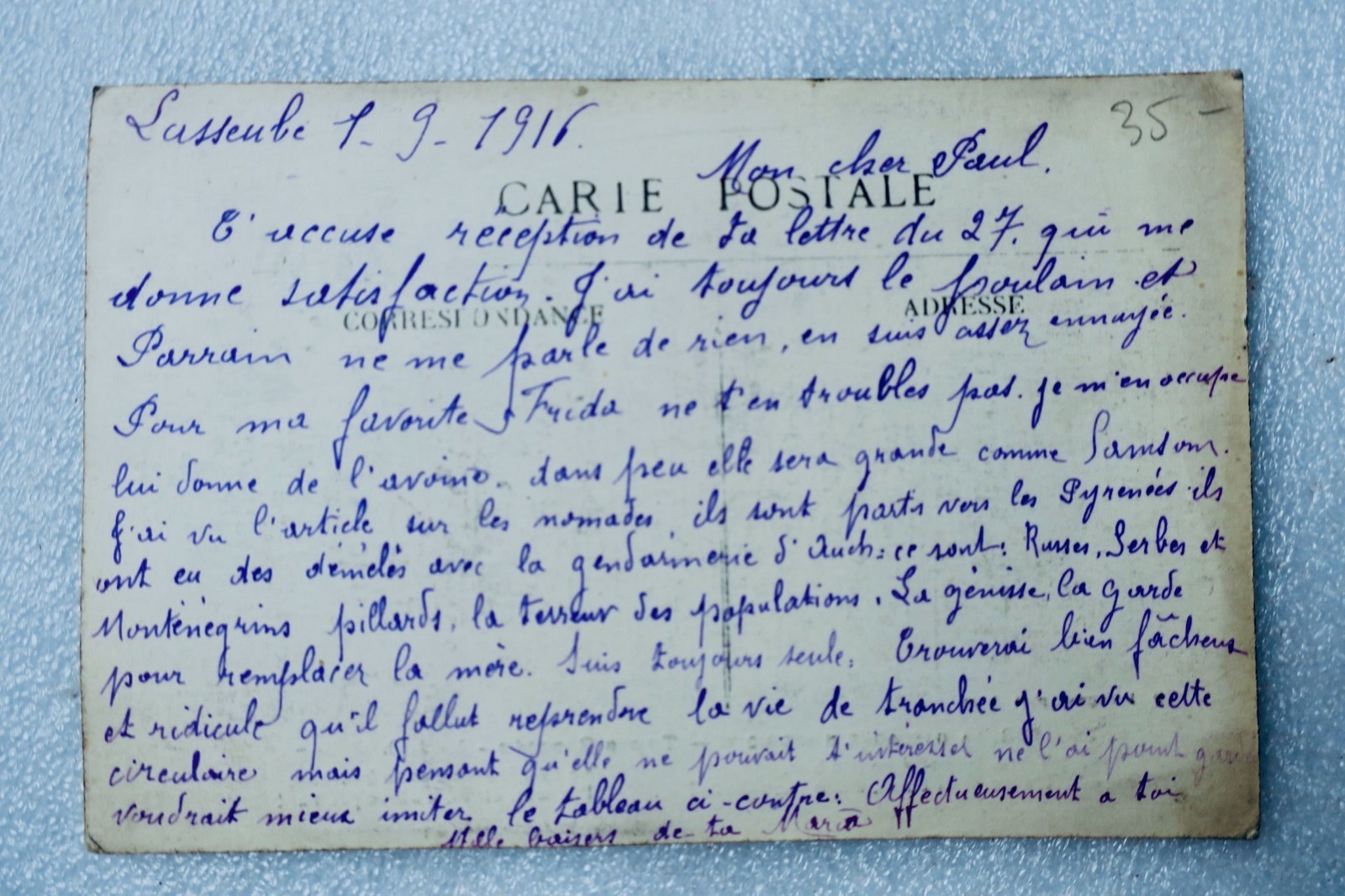 Gascogne Types Gascons 1916 Le Laboureur - La Librairie Antique