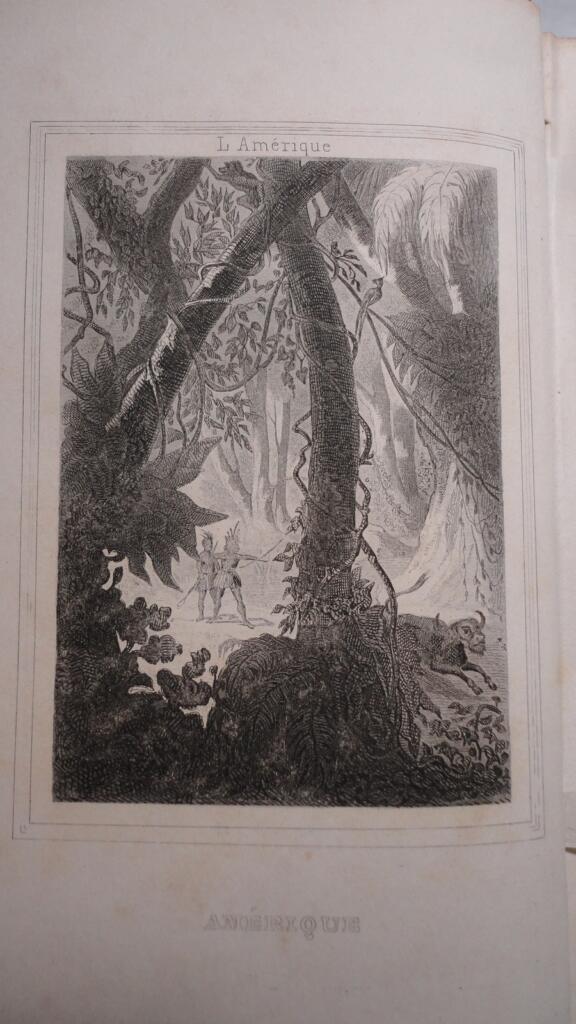 美洲:根据最著名旅行家的记载 1859