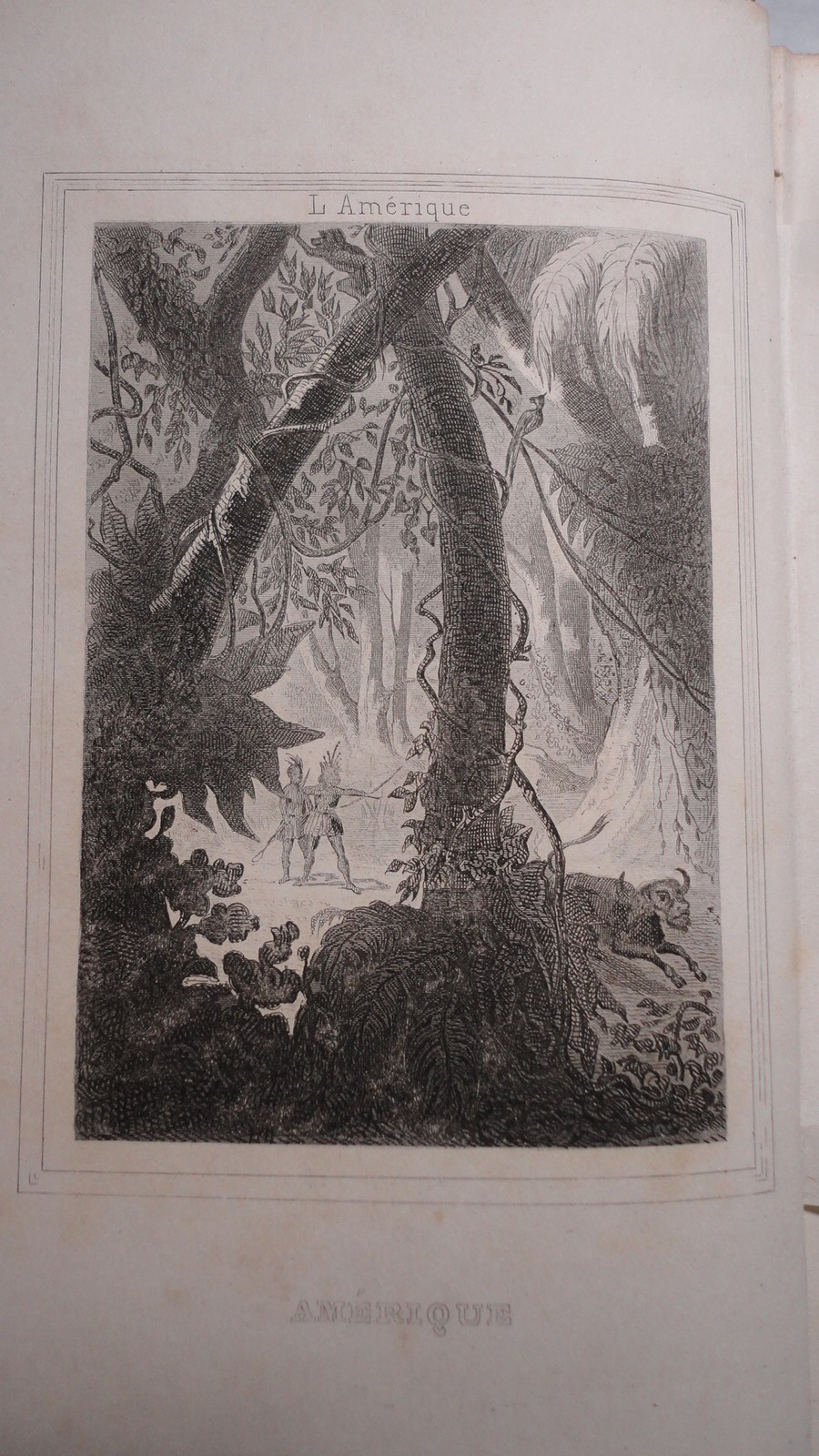 L'AMERIQUE D'APRES LES VOYAGEURS LES PLUS CELEBRES 1859 – Image 3
