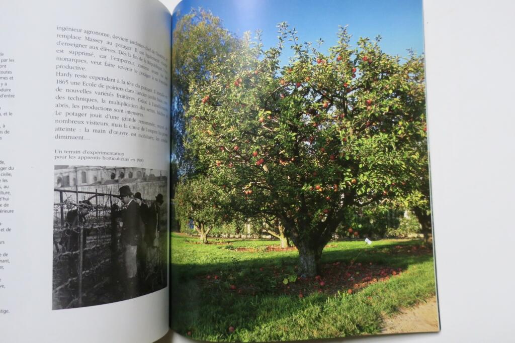 LE POTAGER DU ROI 1998