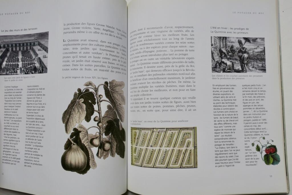 LE POTAGER DU ROI 1998