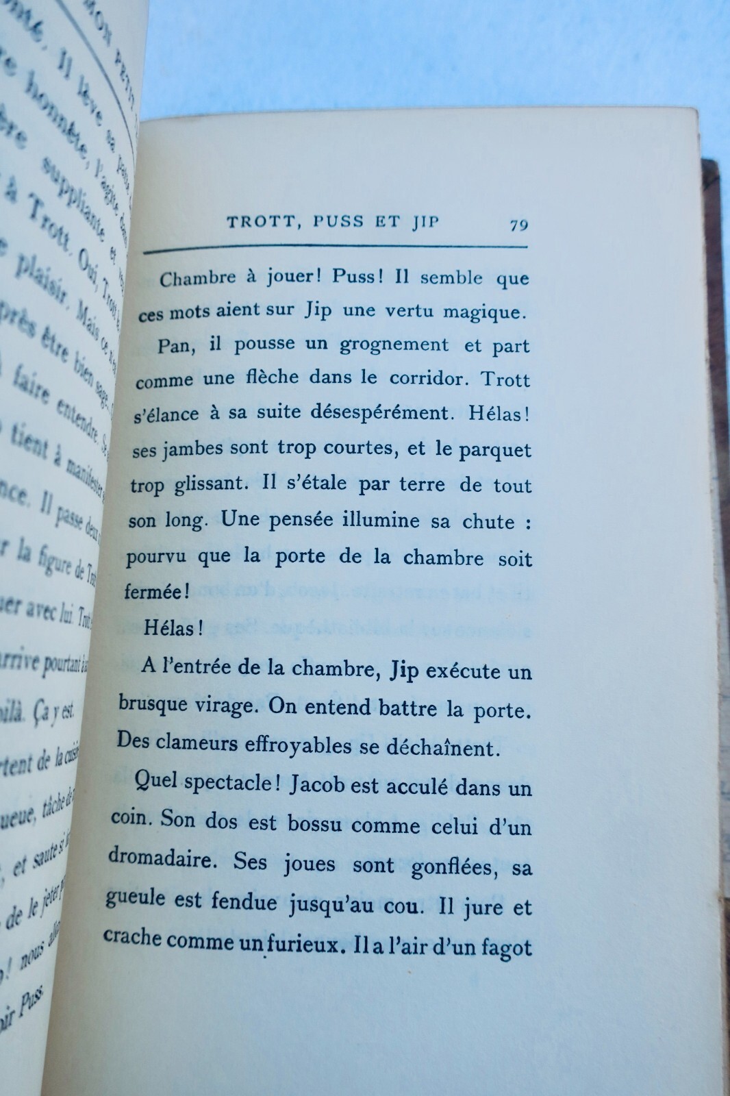 LICHTENBERGER MON PETIT TROTT – Image 6